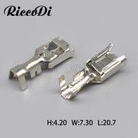 : “-- ขั้วต่อระบบสายไฟหุ้มแบบอัตโนมัติ DJ629-E6.3B 20-200ชิ้นตัวเมีย6.3มม. สำหรับตัวเชื่อมต่ออัตโนมัติพัดลมอิเล็กทรอนิกส์ชุด630แพ็ค