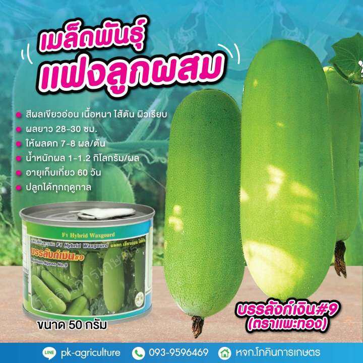 เมล็ดพันธุ์แฟงลูกผสมบรรลังก์เงิน-9-ขนาด-50-กรัม