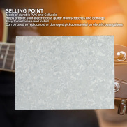 Bass Bìa backplate PVC và Celluloid tấm Pickguard đàn guitar cho đàn ghi
