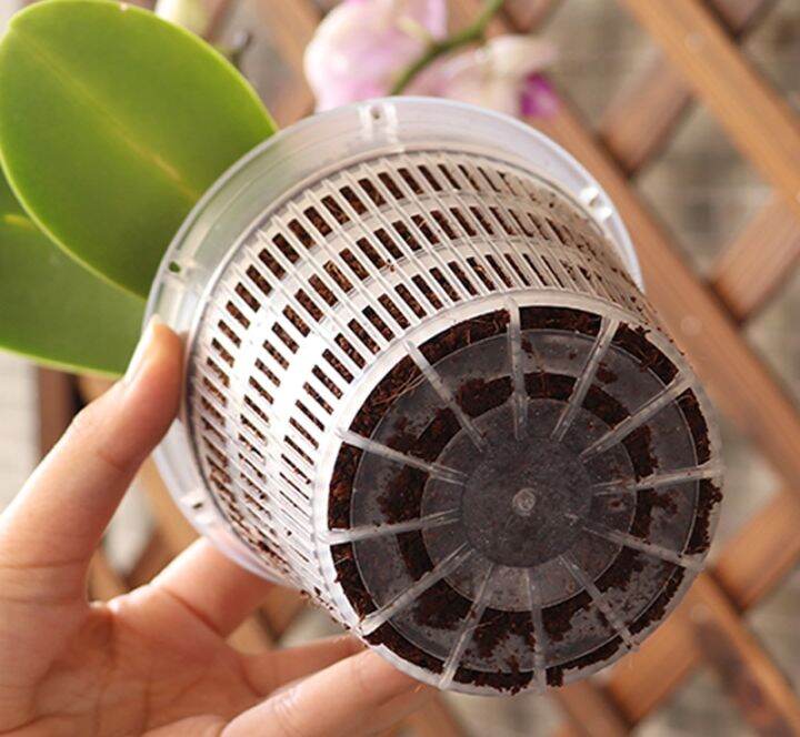 cc-root-controlled-transparent-flowerpot-for-cattleya-planting-with-stomata-home-decoration-plastic