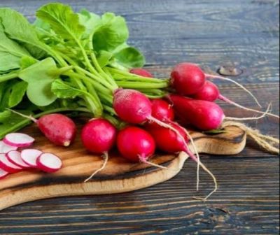 แรดีส 🌰Radish Seeds เมล็ดพันธุ์แรดีสหลากหลายสายพันธุ์🌰แรดีสคละสี🌰แรดีสเหลือง🌰แรดีสเบรคฟัส ราคาถูก ปลูกง่าย