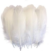 Nagoire Loose Feather 5-7 /13-18cm Feathers for Crafts Clothing Accessories Jewelry Making Plumas