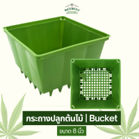 กระถางปลูกต้นไม้ กระถางเพาะชำ ใช้คู่กับถาดรองดินรดน้ำ ขนาด8นิ้ว