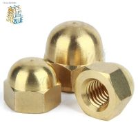 ● 2-10Pcs DIN1587 M3 M4 M5 M6 M8 M10 M12 Brass Cap Hex Nuts Decorative Dome Head Cover Semicircle Acorn Nut