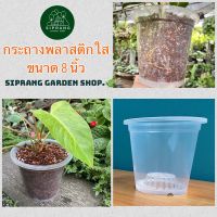 กระถางพลาสติกใส ขนาด 8 นิ้ว Siprang Garden Shop ?