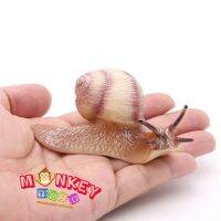 Monkey Toys - โมเดลสัตว์ Snail หอยทาก ครีม ขนาด 9.10 CM (จากหาดใหญ่)