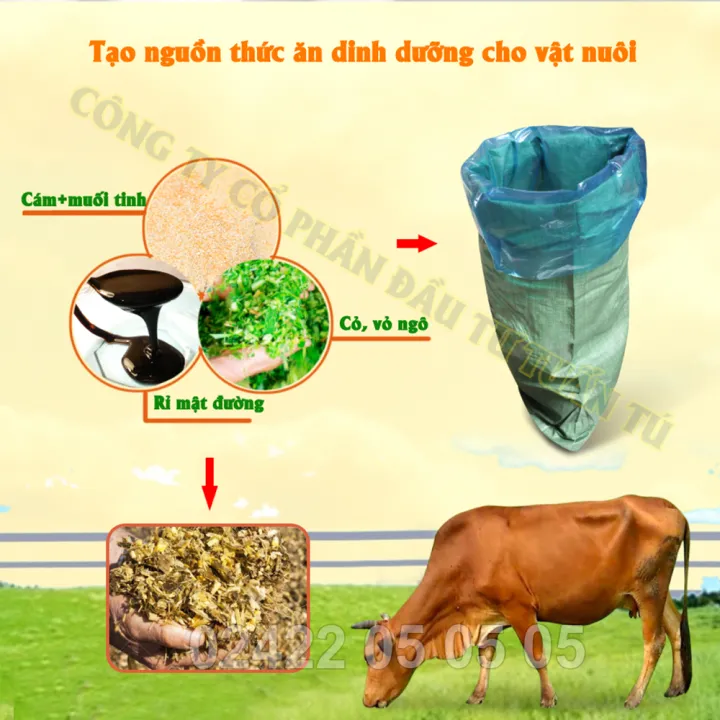 cách ủ cỏ cho bò