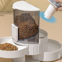 Cat Feeder Waterer Wide Bowl Diameter Pet Water Food Dispenser 2 in 1 for Indoor for Puppy