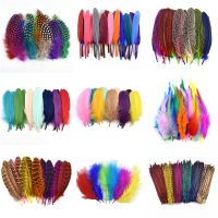 Many Kinds Multicolour Combinations Goose Ostrich Feathers Crafts Pheasant Chicken Turkey Peacock Feather Handicraft Accessories Shoes Accessories