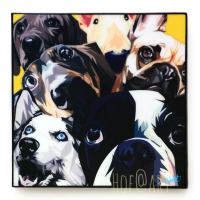 Dog หมา Puppies รูปภาพ​ติด​ผนัง​ pop art พร้อมกรอบและที่แขวน สุนัข สัตว์เลี้ยง แต่งบ้าน ของขวัญ กรอบรูป รูปภาพ