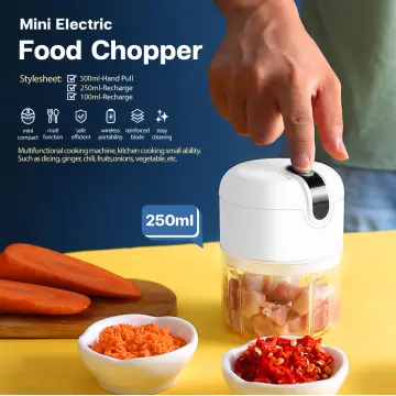 Bear Wireless Electric Multipurpose Garlic Chopper Food Processor Grinder  for Meat, Vegetables, Fruits and Nuts 150ml 