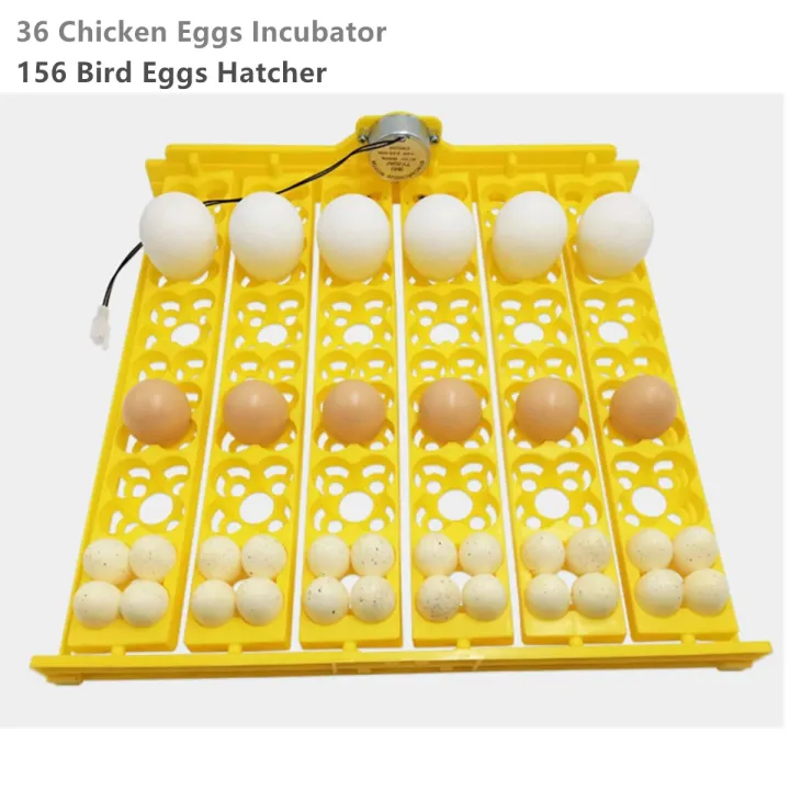36 Eggs Incubator Automatic Turn Eggs Roller Egg Tray Bird Duck Chicken