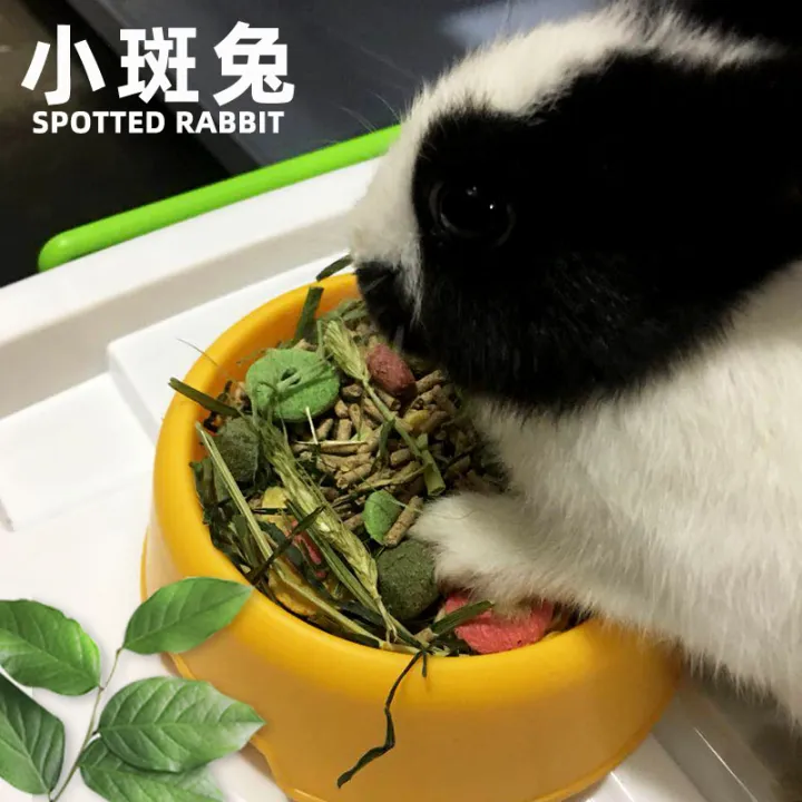 Small Spot Rabbit Food5Jin Rabbit Feed Rabbit Food Guinea Pig Feed