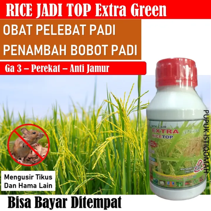 Rice Jadi Top 500 Ml Obat Padi Cepat Panen Bobot Besar Dan Berat Pupuk Organik Cair Penambah 4471