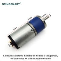 Bringsmart 12V 24V Planetary Gear Motor Low Noise DC Motor Large Torque Motor Metal Gear Micro Motor For Advertising Board Electric Motors