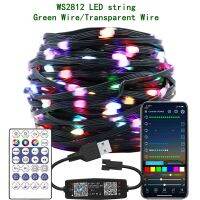 [Hot K] ตัวควบคุมเพลงสาย Led WS2812B แบบไฟคริสต์มาสแบบมีสายใส/สีเขียวสามารถระบุที่อยู่ได้ USB โมดูล LED แบบรายเดียว DC5V