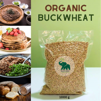 เมล็ดบัควีท บักวีต ออร์แกนิค Organic Green Buckwheat Grains  500g,1000g / Can be sprouting