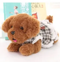 Sete Dudu Teddy Dog Plush Toy ตุ๊กตาลูกสุนัขสวมกระโปรงและวางตุ๊กตาสุนัขจำลอง ของเล่นเด็ก