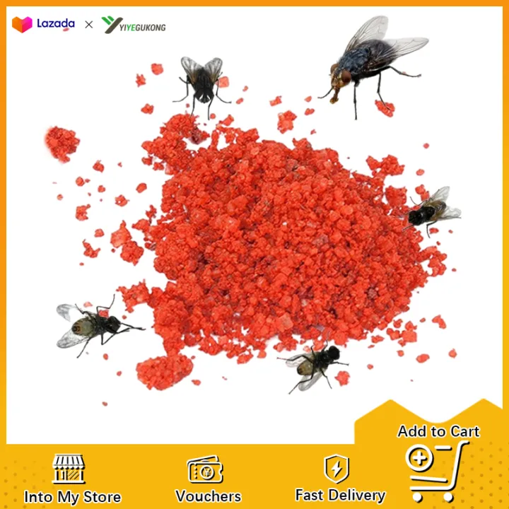 15Packs Granular Fly Killing Bait Powder Flies Killer Lazada PH