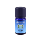 Oshadhi Clove Bud Organic Essential Oil (10 ml)