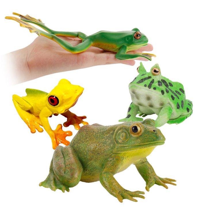 zzooi-realistic-wild-amphibian-action-figures-treefrog-bullfrog-toadfrog-plastic-frog-model-toy-cognitive-ornament-toys-gift-for-kids