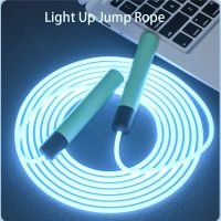 Light Up Jump Rope Tail Glowing Skipping Rope Light Show for Kid Girl Boy Very Bright