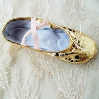 Women Girl Princess Faux Leather Ballet Dance Shoes A