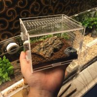 ขนาดเล็กสัตว์เลื้อยคลานถังแมลงแมงมุมเต่าจิ้งจกอะคริลิใสพันธุ์กล่อง Vivarium ฝาสัตว์เลื้อยคลานผลิตภัณฑ์สัตว์เลี้ยง