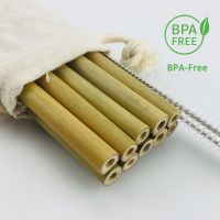 set of 10 Pcs Natural Bamboo Travel Straws Reusable organic drinking Straws 2 straw cleaner brushes for Party Birthday Wedding