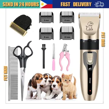 Lazada razor hotsell for dogs