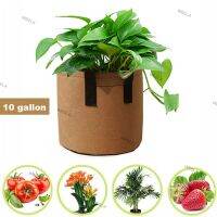 10 Gallon DIY Grow Planter Bag Greenhouse Outdoor Garden Vegetable Gardening Garden Pot Planting Grow Bag 6TH