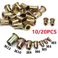 10/20pcs Knurled Nuts Rivet Nut Nutsert Cap Carbon Steel M3 M4 M5 M6 M8 M10 M12 Rivnut Flat Head Threaded Insert Rivet Nuts