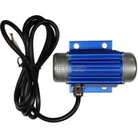 Vibration Motor DC Brushless Mini Motor 12/24V 7000rpm Digital Display Governor Vibrator Electric Motors