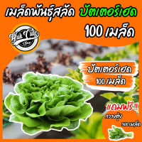 (เเถมกวางตุ้ง) เมล็ดพันธุ์ผักสลัด บัตเตอร์เฮด 100เมล็ดอัตราการงอก95% เมล็ดพันธุ์ ผักสลัด เมล็ดผัก เมล็ดผักสลัด พันธุ์พืช พันธุ์ผักสวนครัว