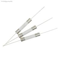 ✑☽☌ 10PCS 6X30MM Ceramic Fuse With Pin 8A 10A 15A 20A 25A 30A 250V 6x30MM Pin Blow Fuse With legs