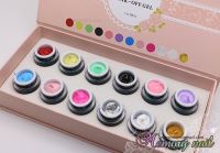 สีเจล สำหรับเพ้นท์เล็บ และเพ้นท์นูน SIYI Color Gel For Nail Painting