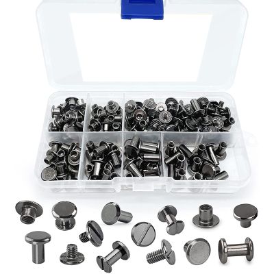 90 Sets Chicago Screws Assorted Kit, 6 Sizes of Round Flat Head Leather Rivets Metal Screw Studs for DIY Leather Craft