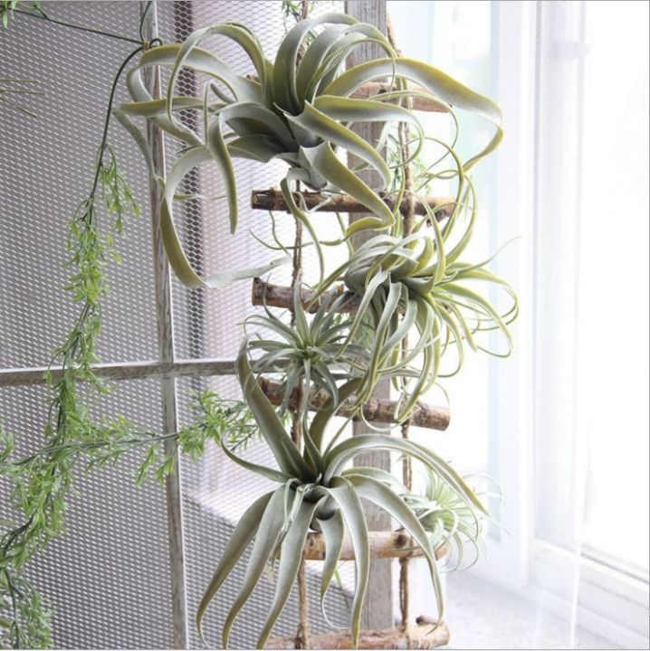 cw-artificial-airtillandsia-succulentflocked-faketablewedding-bouquet-decoration-hot