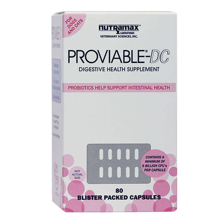 Nutramax ProviableDC MultiStrain Probiotics for cats and dogs 5