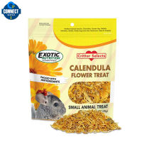 Exotic Nutrition - CALENDULA FLOWER TREAT 28 G. / ดอกดาวเรืองอบแห้ง อาหารสำหรับ สัตว์กินพืช 1oz. {สินค้าพร้อมส่ง}