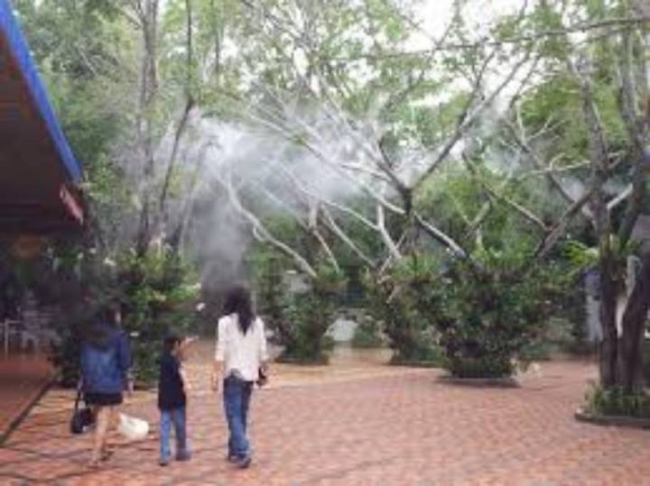 ชุดหัวพ่นหมอก-รดน้ำต้นไม้-หัวฉีดละอองอุปกรณ์รดน้ำอัตโนมัติระบายความร้อน-ยาว-20-เมตร-20-หัวฉีด