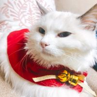 ZZOOI New Year Pet Cat Clothing Christmas Cat Costumes Funny cape For Small Cats Dogs with bell cat clothing