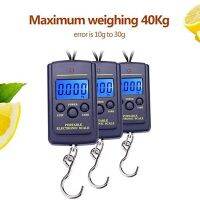 Portable Plastic Electric Digital Hanging Scale With Hook Tool Fishing Luggage Different Units Conversions Luggage Scales