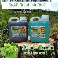 ปุ๋ยไฮโดรโปนิกส์ ปุ๋ยAB ปุ๋ยน้ำ ปุ๋ยผักสลัด สำหรับปลูกผัก Hydroponics ขนาด1000ML New สูตรเข้มข้น