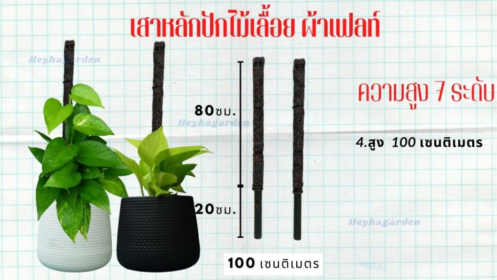 เสาหลักสำหรับปักต้นไม้เลื้อย-ไม้เกาะผ้าเฟลท์-flora-feltท่อ-pvcสีดำ-4หุน-1-2นิ้ว