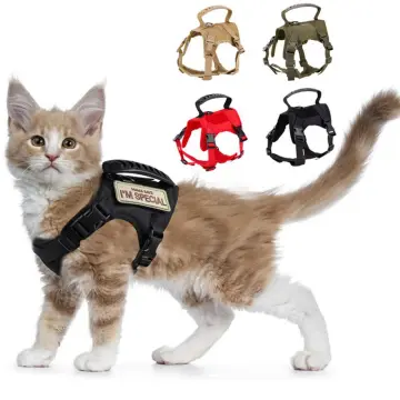 Cat best sale harness lazada