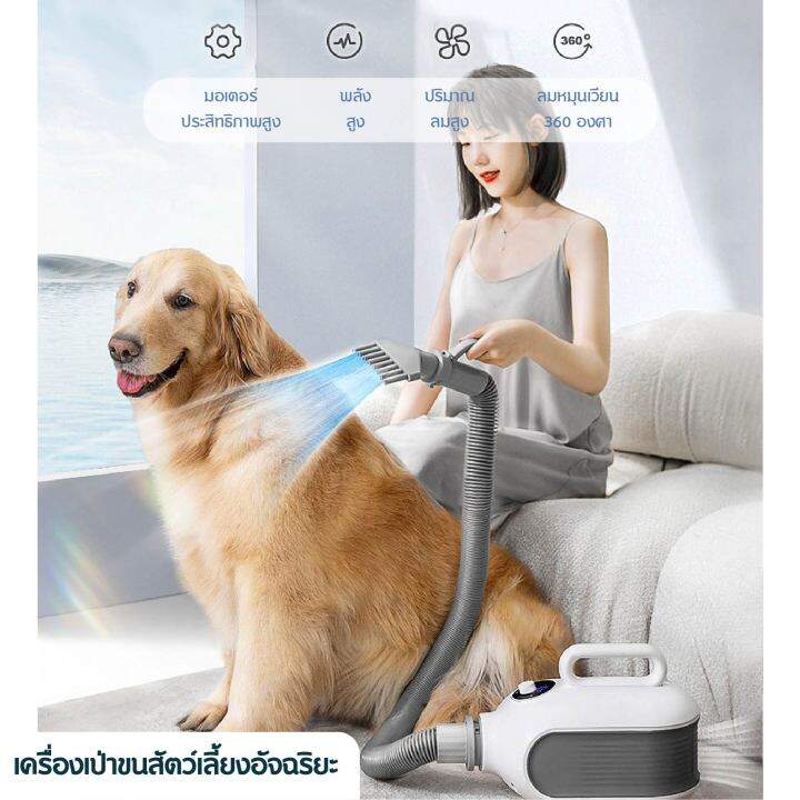 petparadise-th-hipidog-2000w-เครื่องเป่าขนสัตว์เลี้ยงขนาดเล็ก-เครื่องเป่าขน-เป่าขนสัตว์เลี้ยง