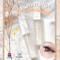 เซรั่มขนตายาว บำรุงขนตา เซรั่มคิ้ว อาร์แกนออยล์ Argan oil Castor oil น้ำมันละหุ่ง lash serum brow serum