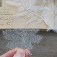 38pcs  White Plant Leaves Style Transparent Sticker Scrapbooking DIY Gift Packing Label Gift Decoration Tag Stickers  Labels