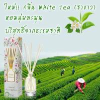 กลิ่นชาขาว (White Tea) ก้านไม้หอมปรับอากาศ 50ml. เซนต์เนเจอร์ กลิ่นหอมสดชื่น